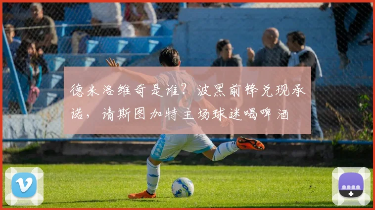 德米洛维奇是谁？波黑前锋兑现承诺，请斯图加特主场球迷喝啤酒