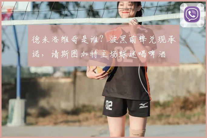 德米洛维奇是谁？波黑前锋兑现承诺，请斯图加特主场球迷喝啤酒